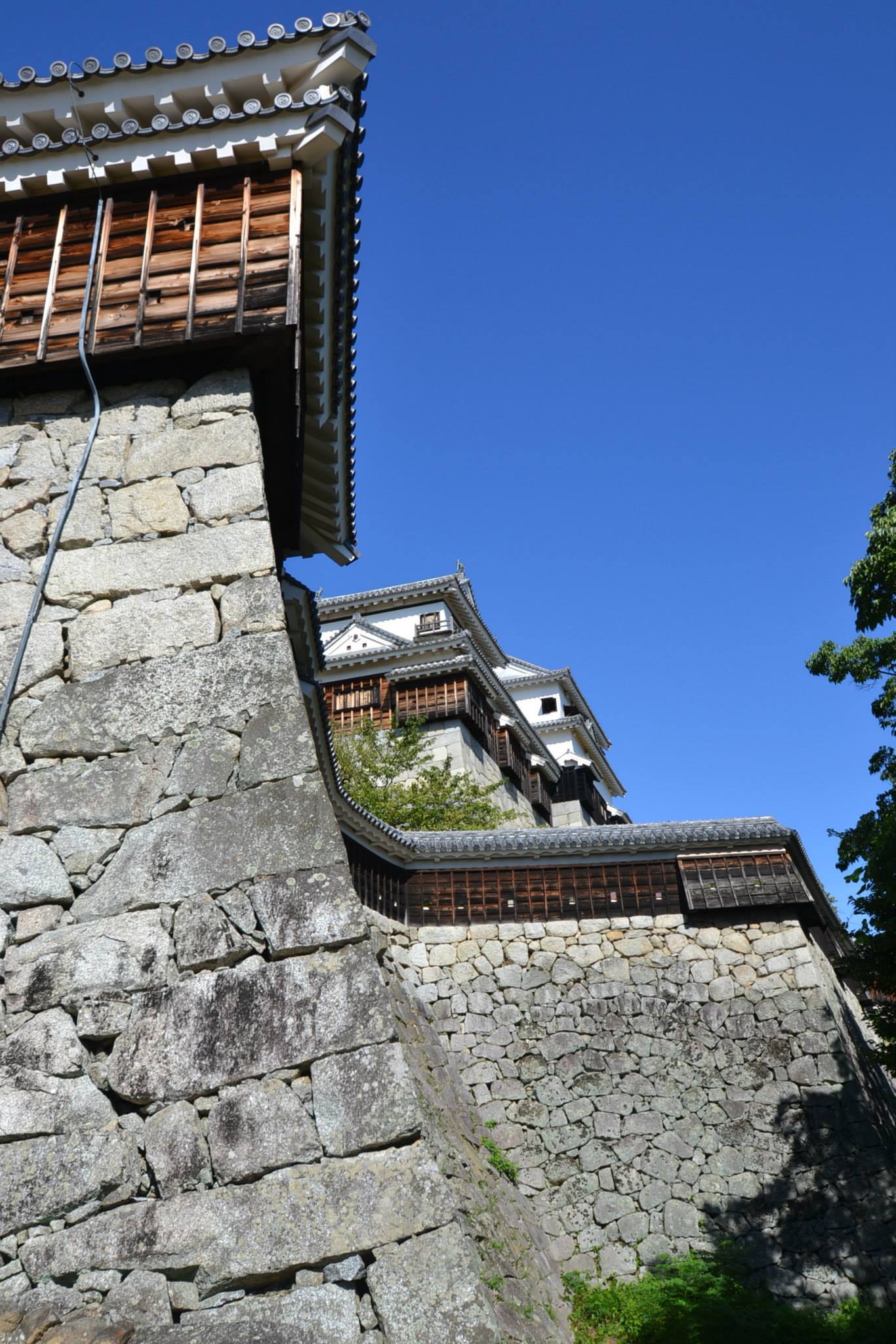 松山城　天守は見えない